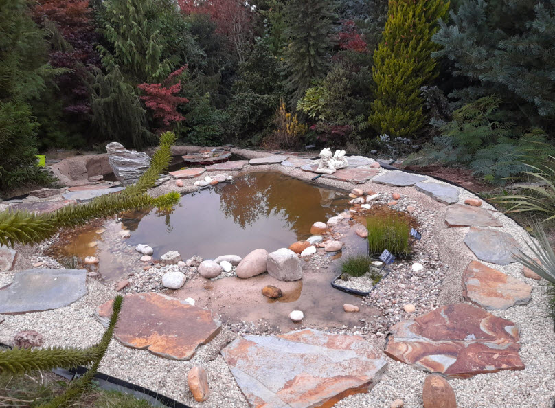 Arboretum / Pinetum Lucus Augusti, Spain